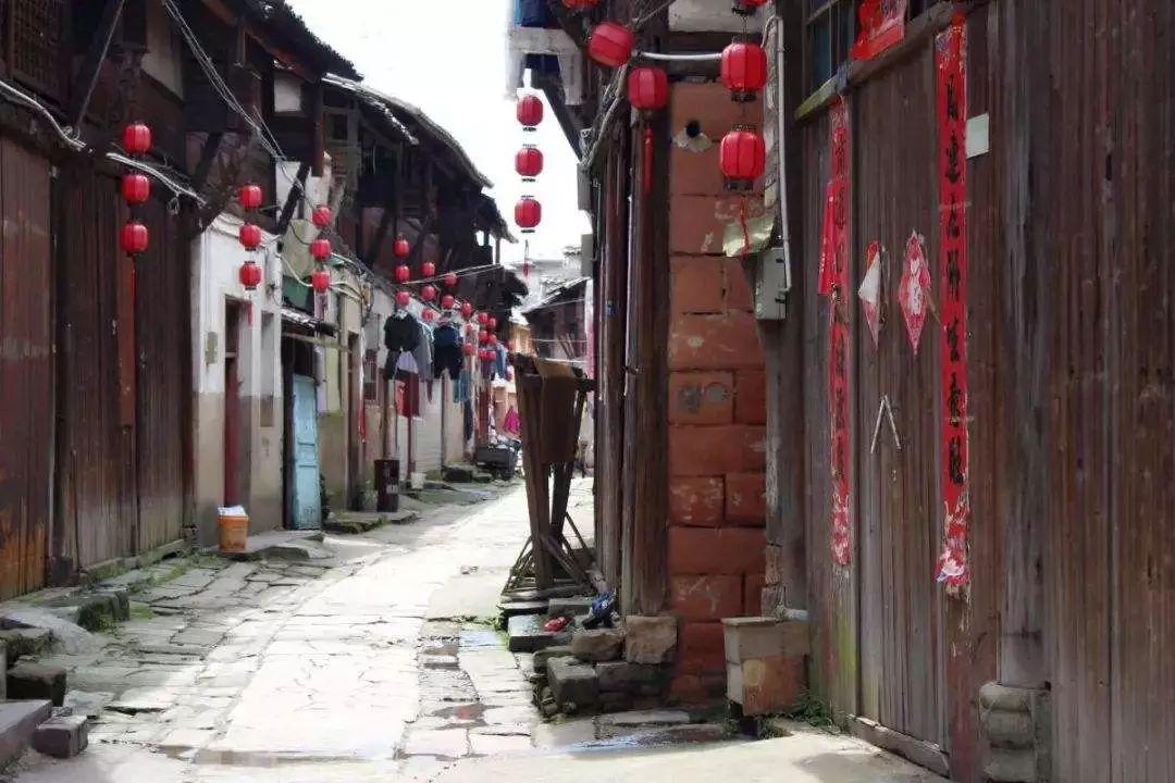 朗逸，速腾，新宝来，轩逸哪个适合二十三岁的男孩子开，给出理由游戏画面